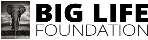 Big Life Foundation logo